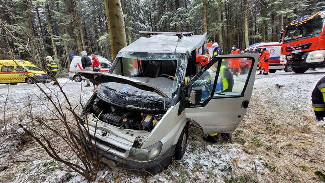 Potworny wypadek pod Krynicą-Zdrój! Nie żyje 32-latek ze Słowacji. Bus z 4 osobami rozbił się o drzewo [ZDJĘCIA]