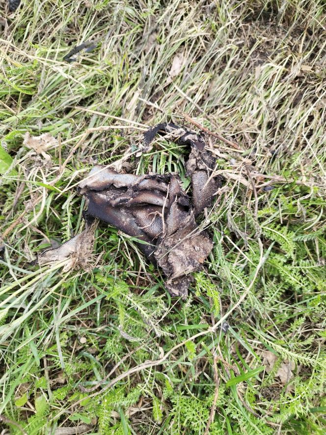 Ślady zbrodni na drodze, spalone ubrania ofiary spod Grójca. Sąsiedzi: "Myśleliśmy, że to mafijne porachunki"