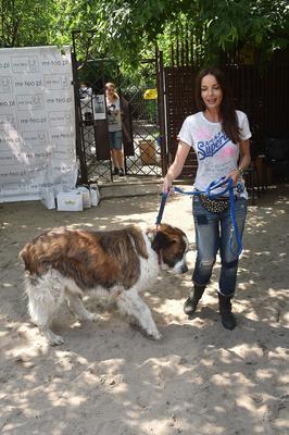 Agnieszka Włodarczyk i pieski