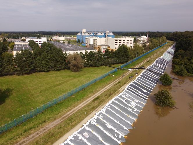 Wrocław Janówek - rozlana Bystrzyca i oczyszczalnia ścieków