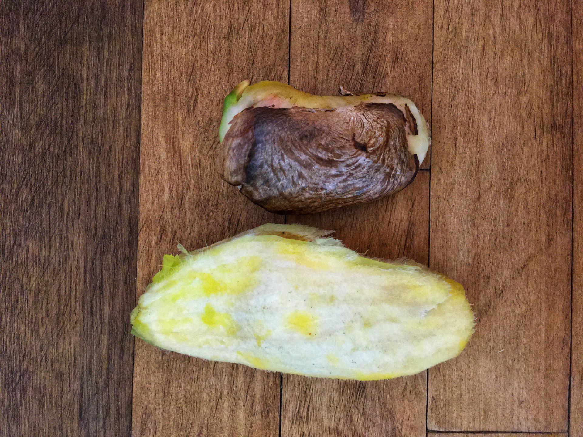 Mango z pestki murator.pl