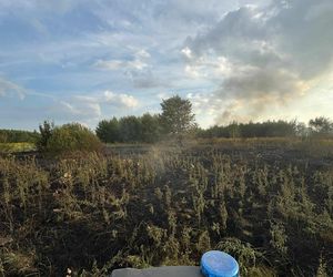 Pożar bazy transportowej w miejscowości Ławki w gminie Łuków