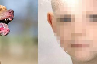 Przemyśl: Pies zagryzł dziecko na śmierć. Mordercza rasa? To nie są psy dla idiotów