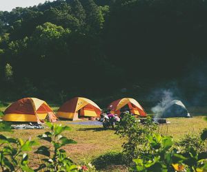 Pola namiotowe w okolicach Torunia. To ładne miejsca z ciekawym otoczeniem, warto tu przyjechać [GALERIA]