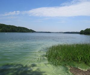 To jezioro na Kaszubach jest wyjątkowe. Warto je zobaczyć, ale trzeba przestrzegać zasad 