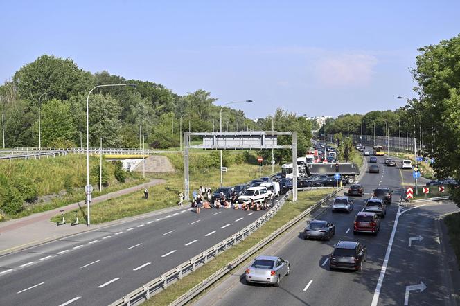  Aktywiści z Ostatniego Pokolenia sparaliżowali ruch. Kierowcy: Ktoś powinien zrobić z nimi porządek!