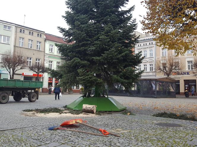 ​Leszno szykuje się na święta. Na rynku przy ratuszu stanęła choinka