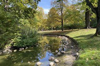 Jesień w Ogrodzie Krasińskich