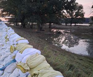 Walka z powodzią NA ŻYWO. Fala kulminacyjna przechodzi przez województwo lubuskie 