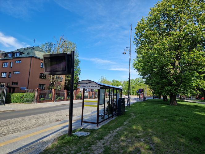 Plac Kościeleckich rozkwita na wiosnę. Bydgoszczanie chętnie wybierają go na spacer