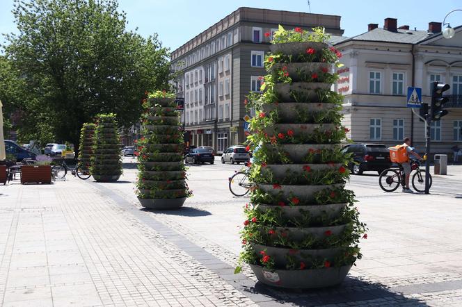 Więcej kwiatów na pl. Biegańskiego w Częstochowie. Miasto stawia na zieleń