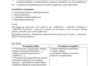 Matura 2019 z biologii [ARKUSZE CKE, ODPOWIEDZI]