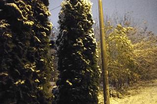 Pierwsze opady śniegu. Zobacz jak wyglądają Kielce w zimowej szacie