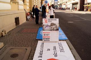 Protest przeciwko alienacji rodzicielskiej