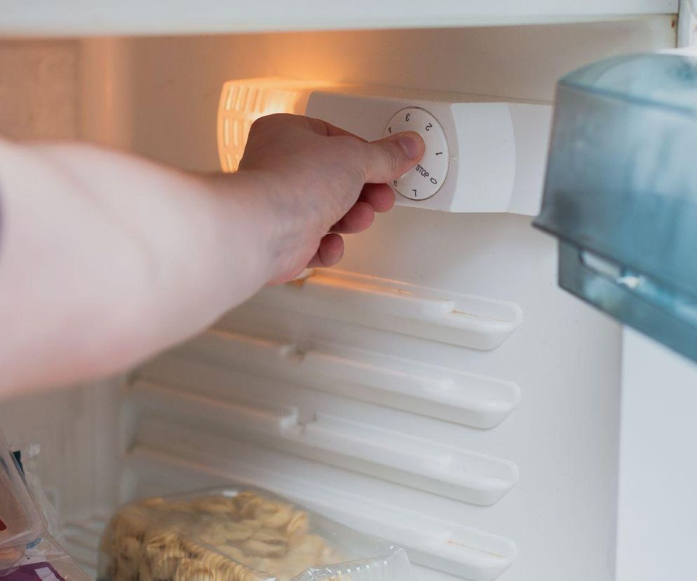 jaką temperaturę ustawić w lodówce