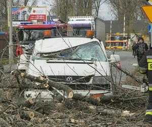 Pogodowe szaleństwo. Wichury do 160 km/h to nie wszystko!