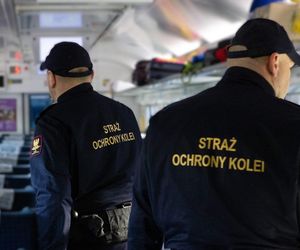 Rosjanka była poszukiwana w Europie. Wpadła, bo... awanturowała się w pociągu