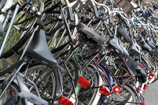 We Wrocławiu pojawi się 1000 nowych stojaków rowerowych