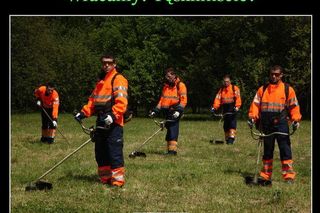 MEMY: 1 Dzień wiosny i Dzień Wagarowicza