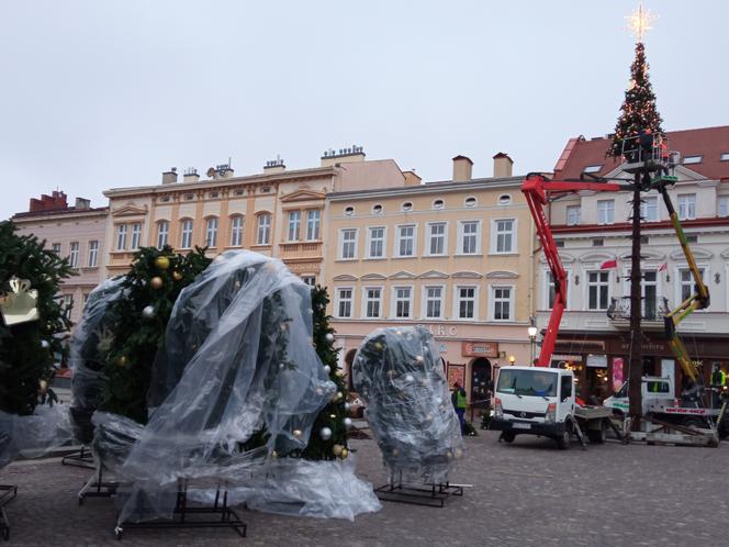 Trwa montaż świątecznej choinki na Rynku w Rzeszowie