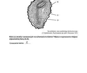 Matura 2024: biologia. Arkusze CKE i odpowiedzi. Poziom rozszerzony [Formuła 2023]