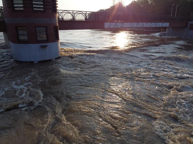 Powódź we Wrocławiu. Tak wygląda Odra w czwartek 19.09.2024 