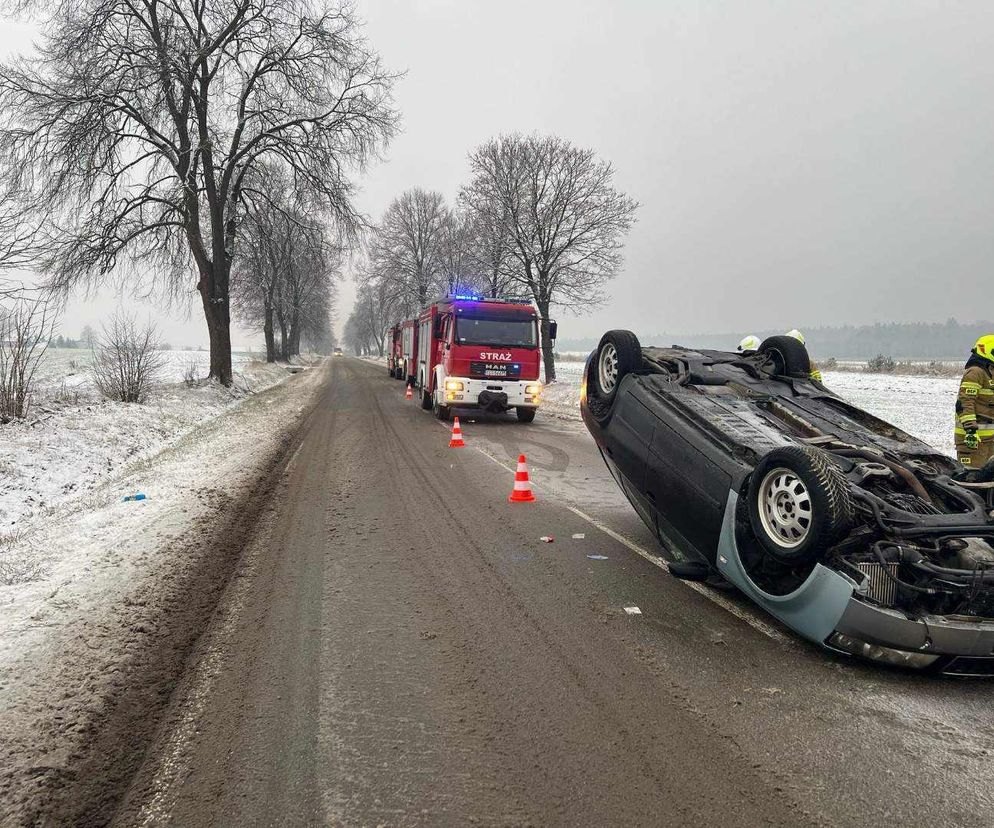 Dachowanie w Trębowcu