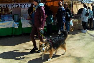 Jarmark Szczeciński na Jasnych Błoniach