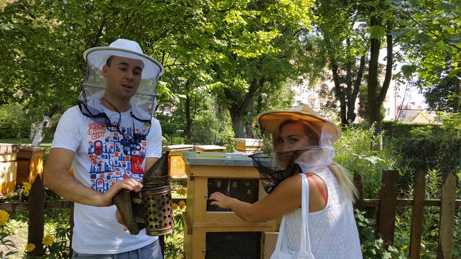 Wielki Dzień Pszczół w Bydgoszczy