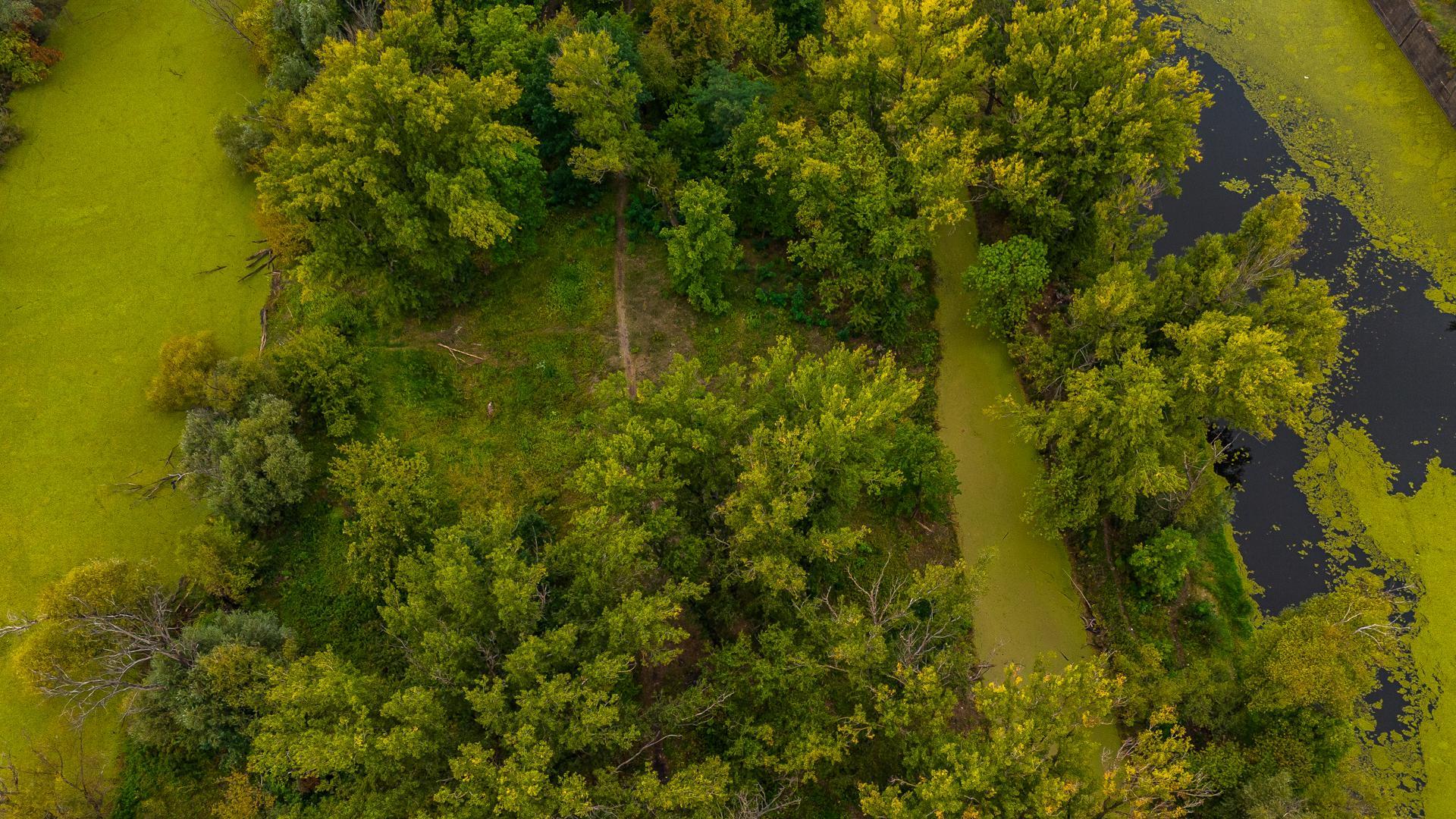 Port Praski - widok z drona, wrzesień 2024