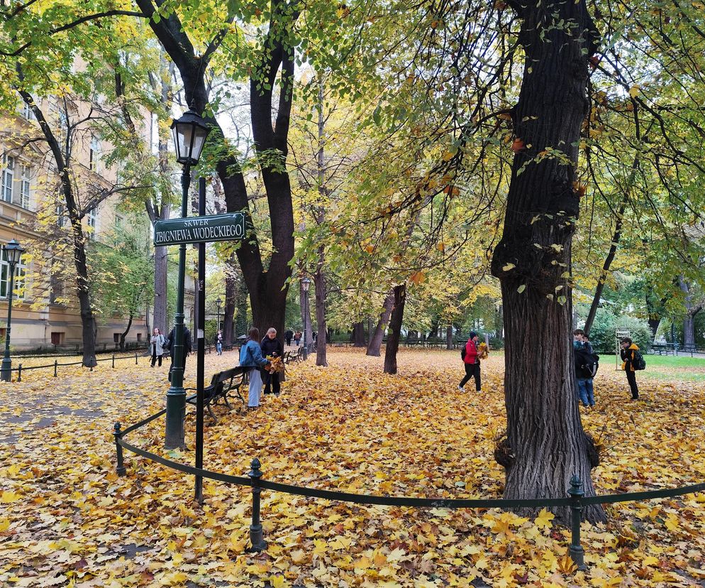 Te widoki zdobywają internet! Polska złota jesień w najlepszej odsłonie