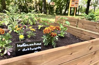 Grządka koła naukowego - doktorancka