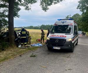 Dramat na drodze pod Bartoszycami. Pijany 18-latek wjechał w drzewo!