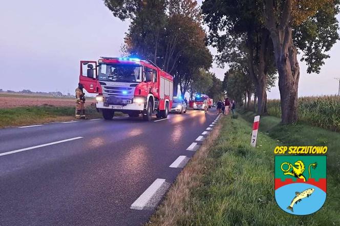 Koszmarny wypadek pod Sierpcem! Kilka karetek i śmigłowiec zabrały 5 rannych [ZDJĘCIA]