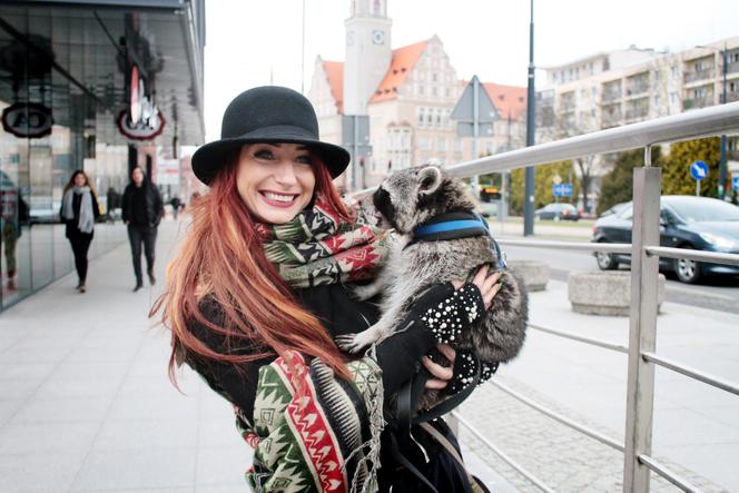 Przygarnęłam szopa