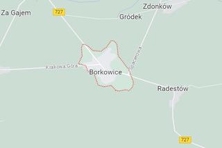 Borkowice
