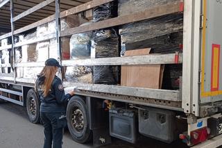 Praca w Podkarpackim Urzędzie Celno-Skarbowym. 50 wolnych stanowisk! 