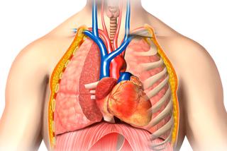 Tętniak tętnicy płucnej