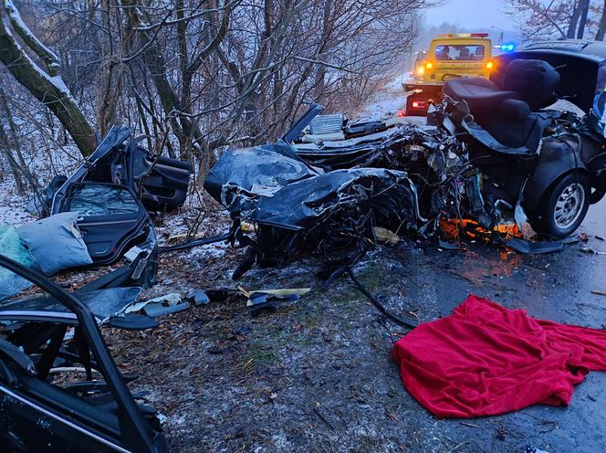 Koszmarny wypadek w Landku. 21-letni kierowca zginął na miejscu