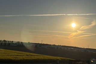 Rzepak niedaleko Poznania