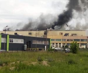 Pożar hali magazynowej na terenie Elany w Toruniu. 13 zastępów straży w akcji