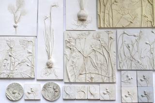 Roma Roman, Portrety Roślin