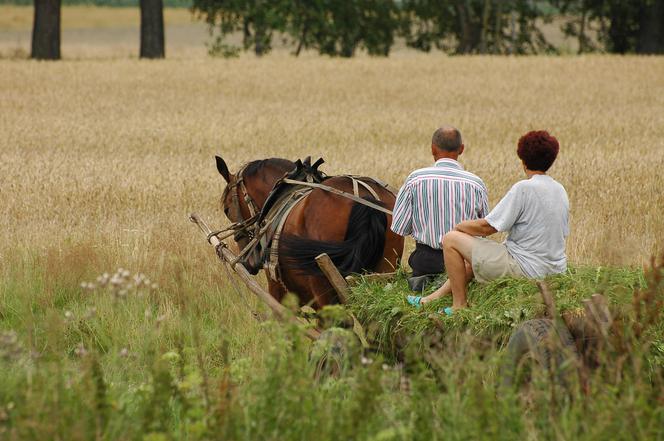 Magiczne Podlasie