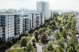 Park linearny na Ursynowie