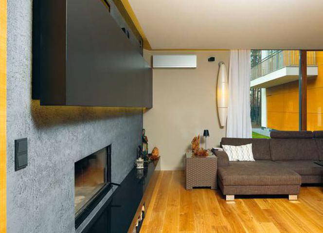 Dom jednorodzinny z elewacją z klinkieru i płyt prodema. Zobacz wnętrza z dwustronnym kominkiem