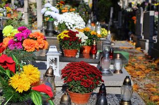 Weź ze sobą cytrynę na cmentarz 1 listopada. Żaden nagrobek nie będzie tak pięknie przystrojony. Co zrobić żeby kwiaty cięte w wazonie dłużej stały?