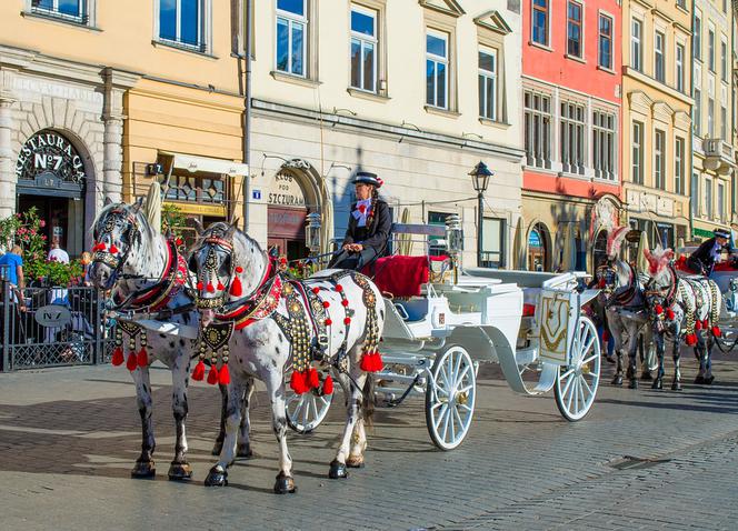6. Kraków