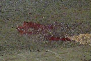 Audi huknęło w nią na przejściu. Przeleciała ponad 10 metrów