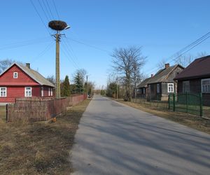Suraż