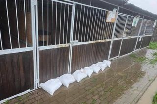 Powódź. Schronisko dla zwierząt w Świdnicy